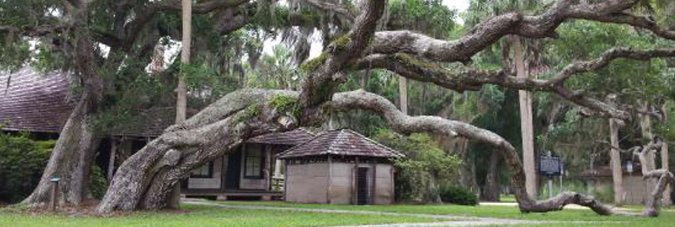 Princess Place Preserve Pool